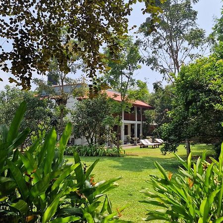 Villa Arana Bentota Exteriör bild