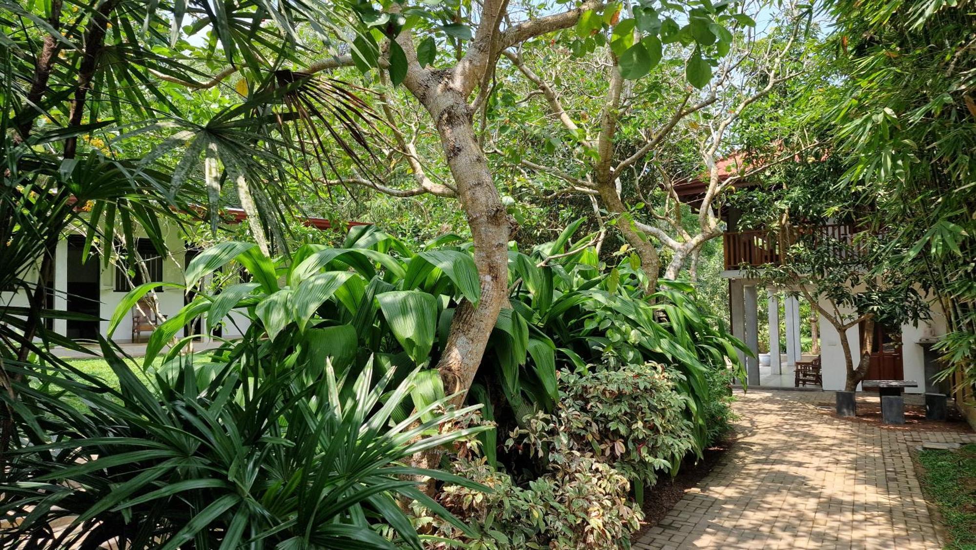 Villa Arana Bentota Exteriör bild