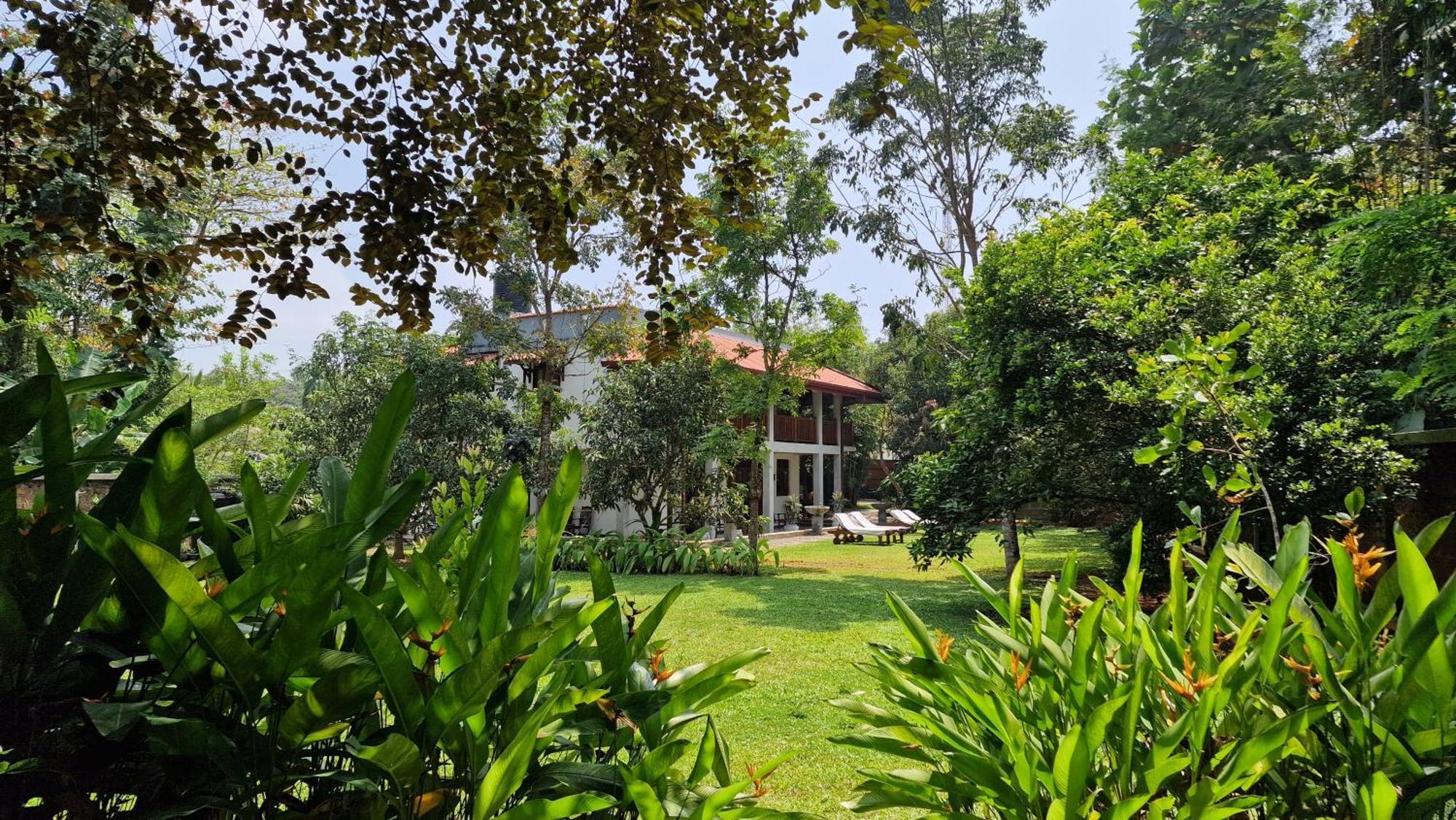 Villa Arana Bentota Exteriör bild
