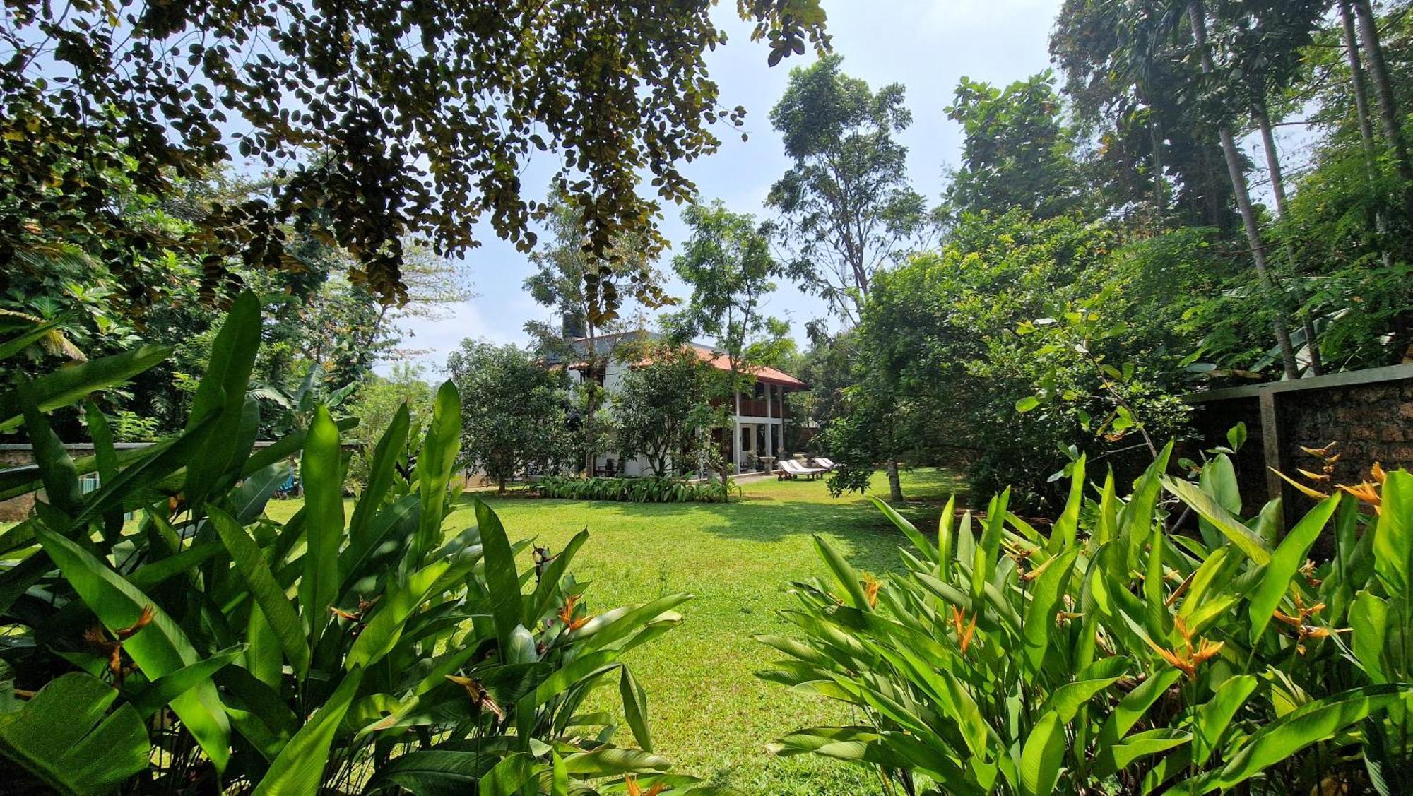 Villa Arana Bentota Exteriör bild